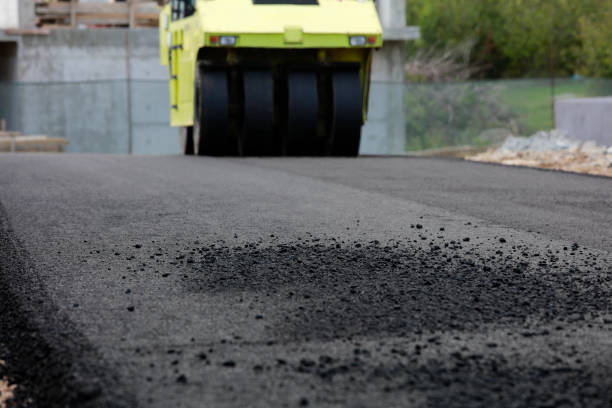 Best Driveway Paver Sealing  in , AK